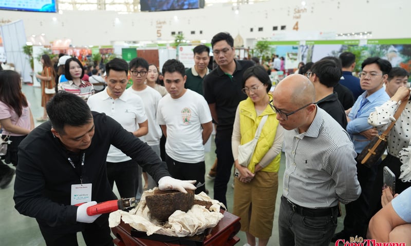 Triển lãm Trà và Cafe: Nâng tầm văn hóa thưởng thức của người Hà Nội