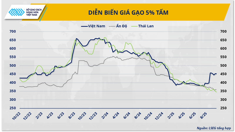Nguồn cung dư thừa, gạo Việt Nam chịu sức ép cạnh tranh từ Ấn Độ