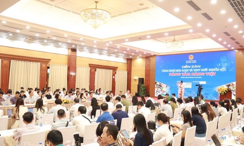 Ảnh bài viết