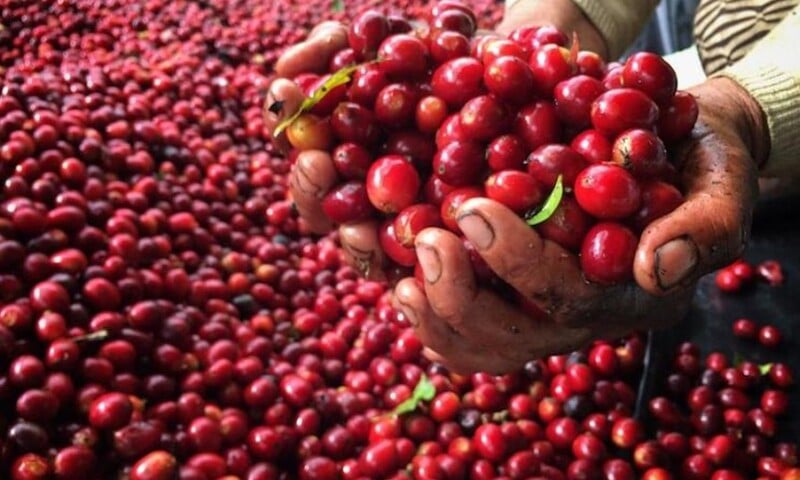 Ảnh bài viết