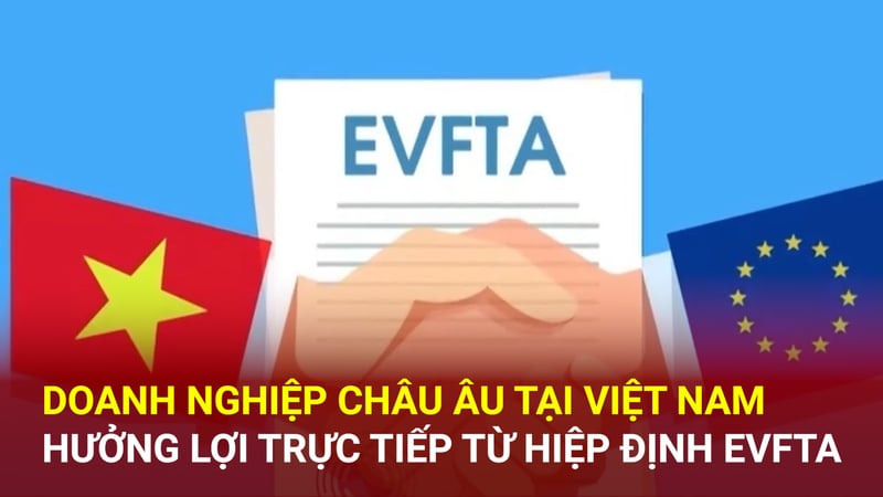 Ảnh bài viết