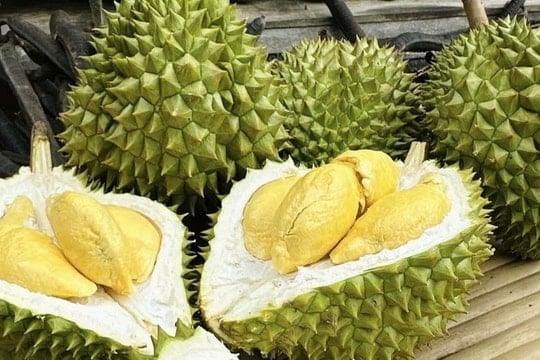 Ảnh bài viết
