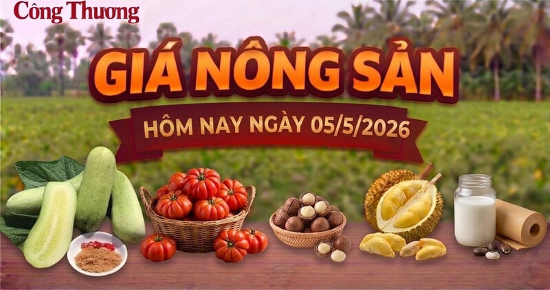 Giá nông sản hôm nay ngày 5/5: Các mặt hàng vào vụ thu hoạch, giá tốt