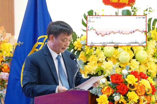 Cổ đông chất vấn giá cổ phiếu “lẹt đẹt”, lãnh đạo Vinaconex lên tiếng