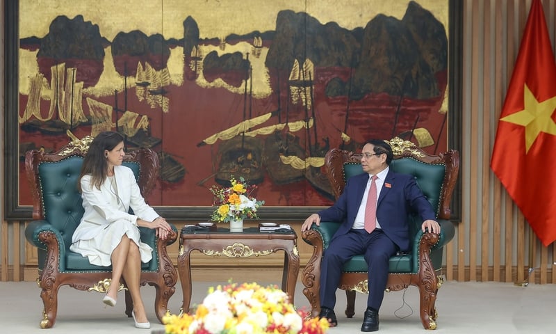 Ảnh bài viết