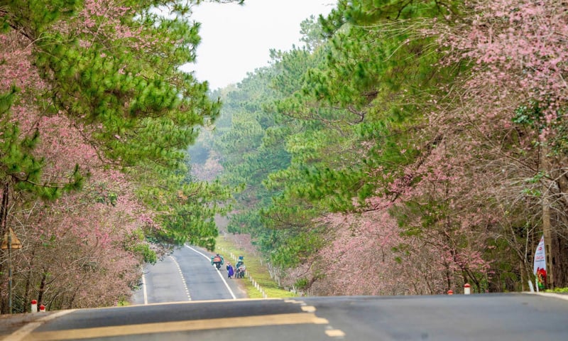 Ảnh bài viết