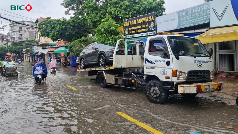 Ảnh bài viết