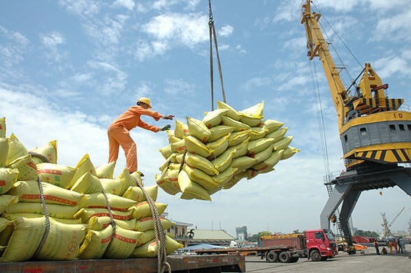 Hướng dẫn chi tiết thủ tục xin Giấy phép kinh doanh xuất khẩu gạo