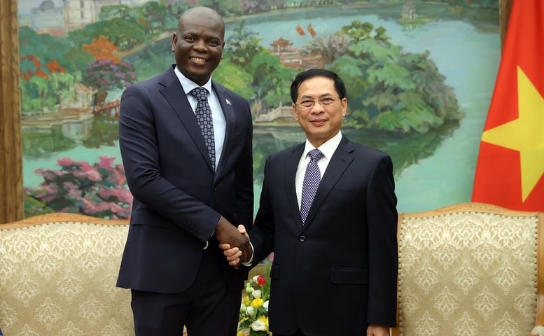 Thúc đẩy kim ngạch song phương Việt Nam - Nam Phi đạt 2 tỷ USD