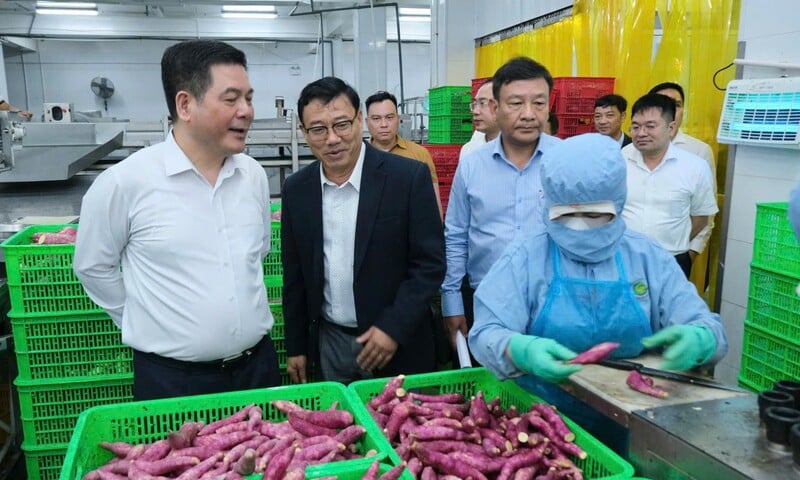 Ảnh bài viết