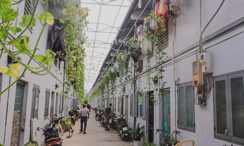 TP.Hồ Chí Minh: Nhu cầu thuê trọ mùa tựu trường tăng vọt