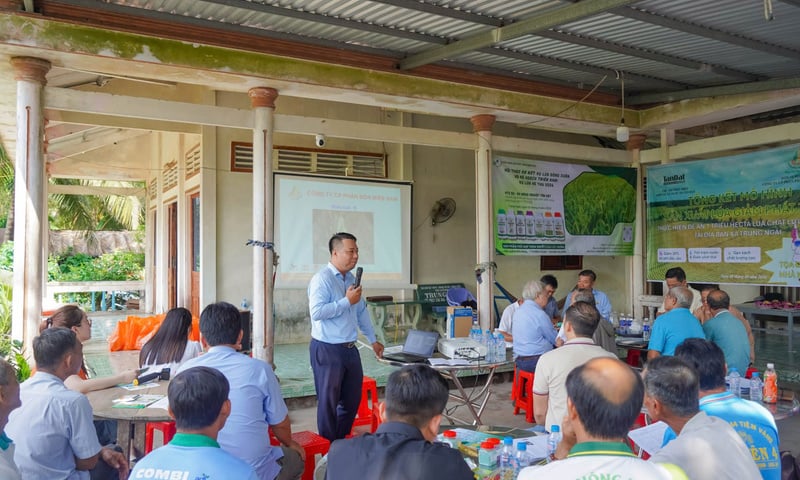 Mô hình lúa giảm phát thải tại Hợp tác xã Tấn Đạt cho hiệu quả cao