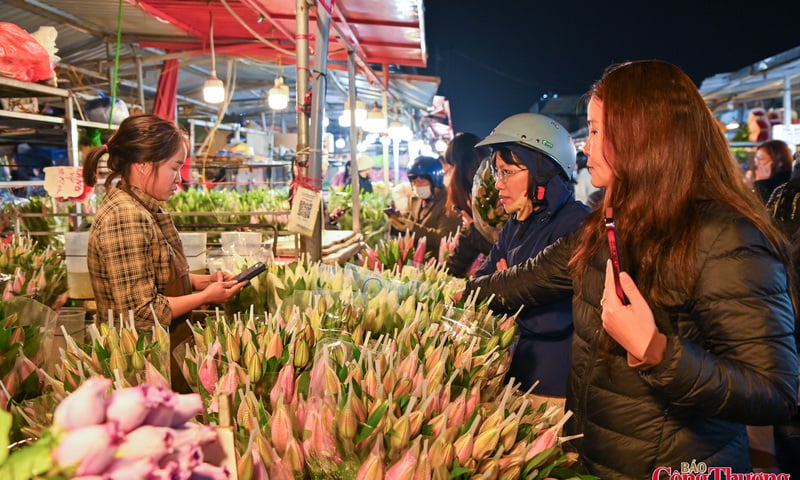 Chợ hoa Quảng An nhộn nhịp những ngày giáp tết Bính Ngọ 2026