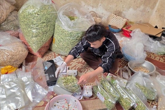 Từng vỡ nợ tiền tỷ, chàng trai xứ Nghệ làm lại với nông sản sấy, chốt đơn “mỏi tay” trên TikTok