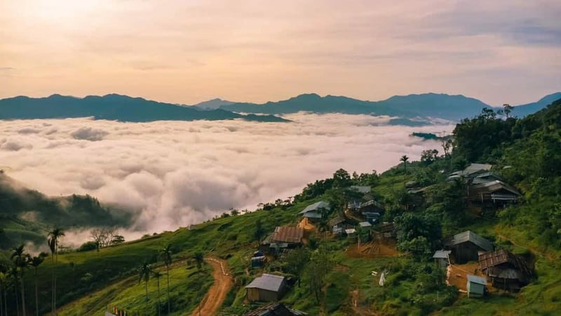 Ảnh bài viết