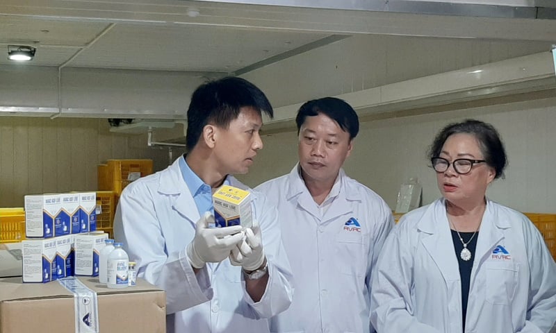 Ảnh bài viết