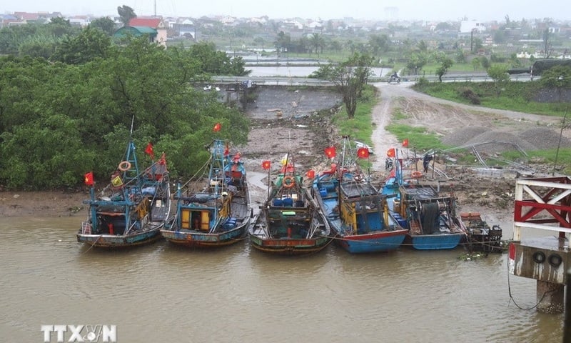 Ảnh bài viết