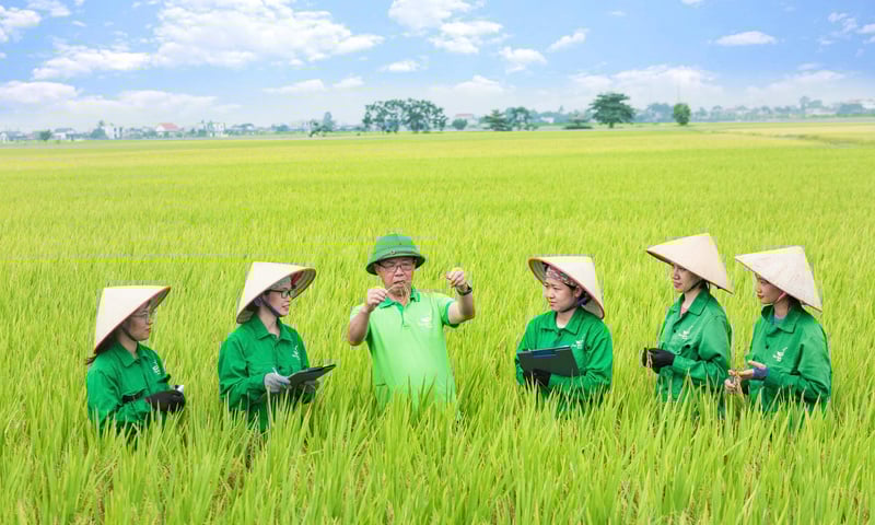 Doanh nghiệp Việt hiện thực hoá Nghị quyết 57 trong nông nghiệp