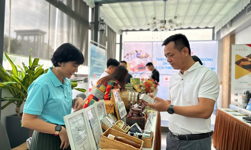Ảnh bài viết