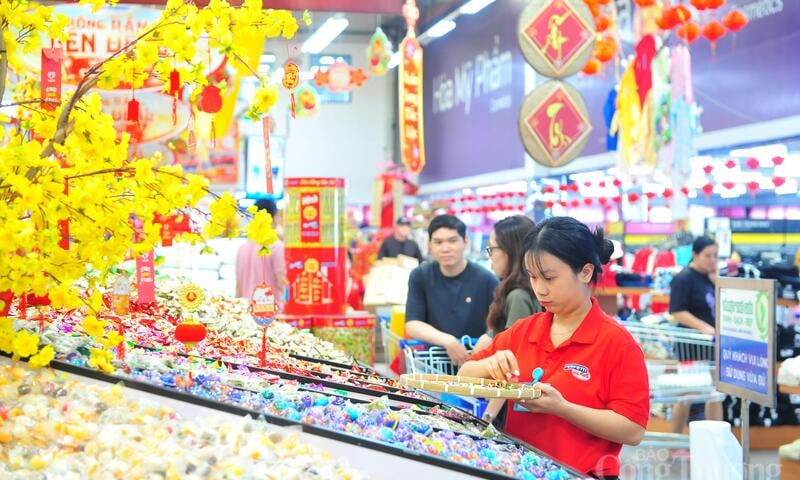 Thị trường nội địa: Trụ cột hiện thực hóa mục tiêu tăng trưởng