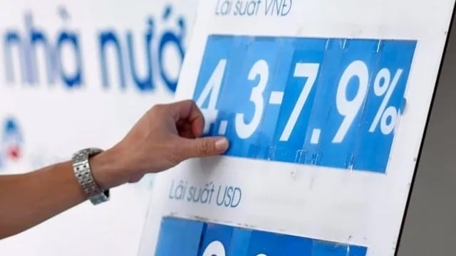 Ảnh bài viết