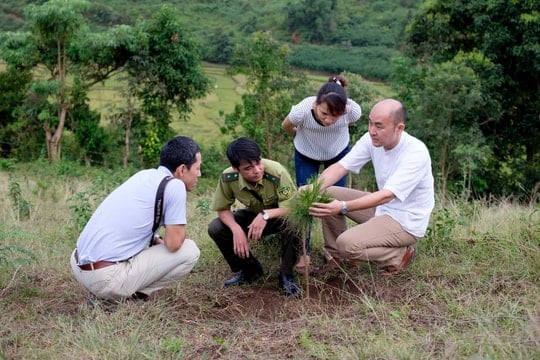 Việt Nam được nhận gần 72 triệu USD thông qua cơ chế chi trả dựa trên kết quả thực hiện REDD+i