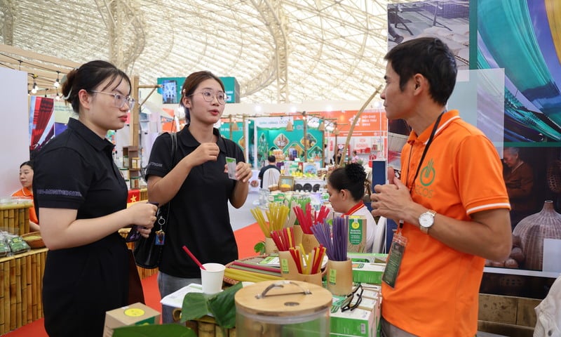 Ống hút rau củ: Sản phẩm xanh từ làng quê ra thị trường quốc tế