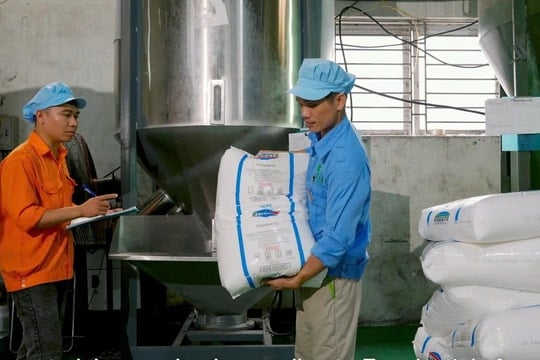 Nhựa sinh thái Việt Nam (ECO) muốn lên HoSE, đặt mục tiêu lợi nhuận tăng gần gấp đôi