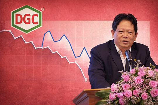 Chậm nộp báo cáo kiểm toán, cổ phiếu DGC bị đưa vào diện cảnh báo từ 23/4