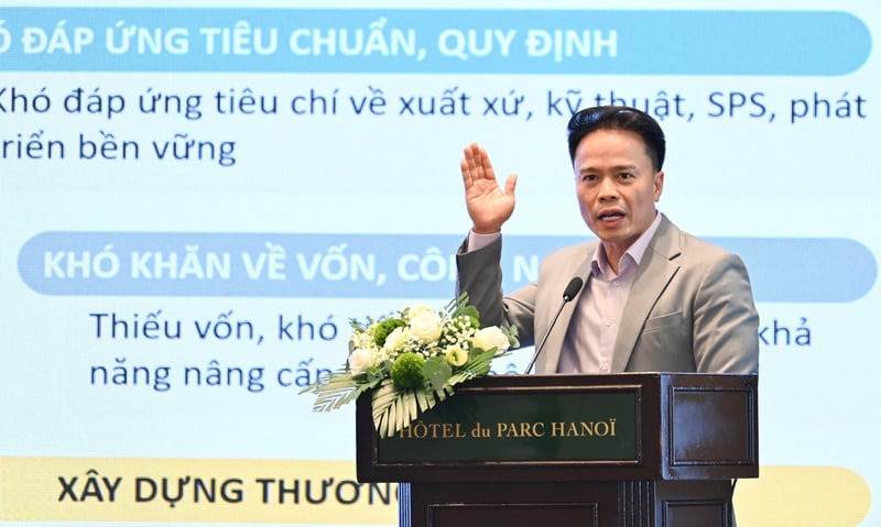 Ảnh bài viết