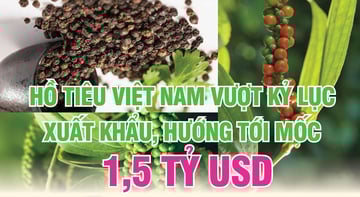 Ảnh bài viết