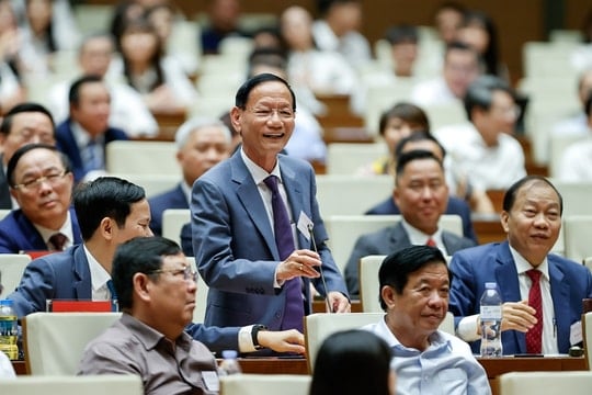 Em trai thay ông Vũ Văn Tiền làm Chủ tịch Geleximco