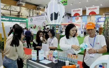 Ảnh bài viết