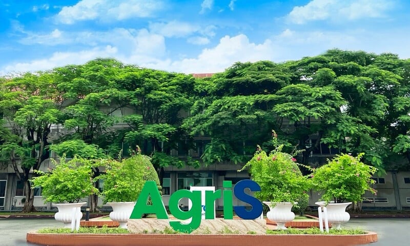 Công ty CP Thành Thành Công Biên Hoà: Coi quản trị là lợi thế cạnh tranh dài hạn