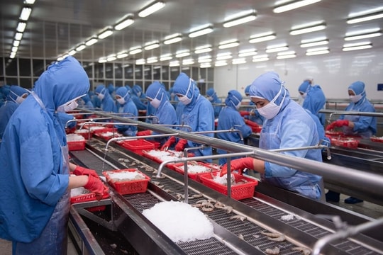 Tạm lùi tại thị trường Mỹ, Sao Ta có thể quay lại đường đua xuất khẩu từ quý II