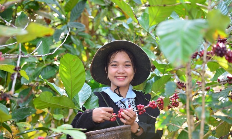 Ảnh bài viết