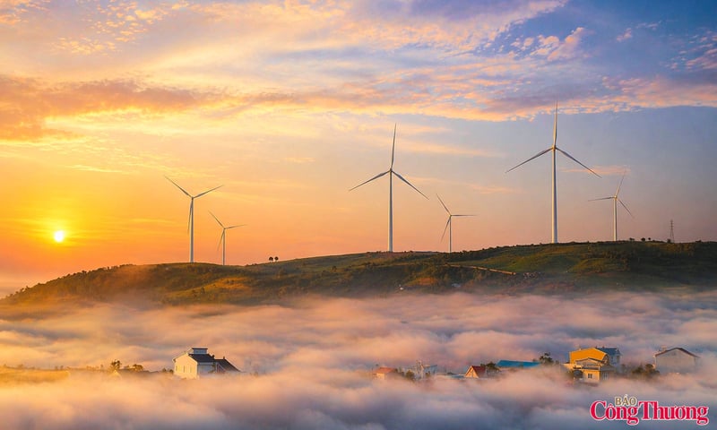 Điện gió Cầu Đất từ công trình năng lượng đến điểm du lịch hấp dẫn