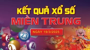 Ảnh bài viết