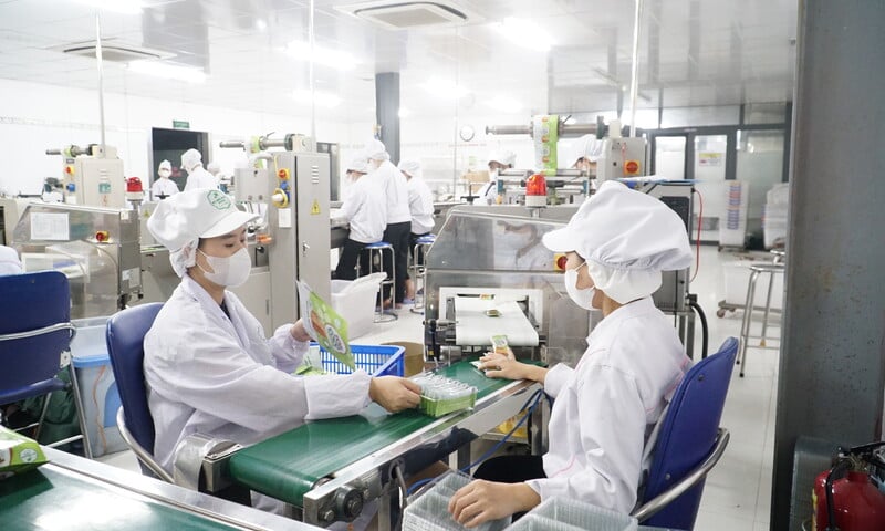 Đà Nẵng: Thúc đẩy xuất khẩu thương mại điện tử xuyên biên giới