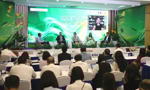 Khơi thông vốn nội, đón ngoại lực: Thị trường chứng khoán Việt đã đủ hấp dẫn?