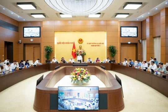 Ảnh bài viết