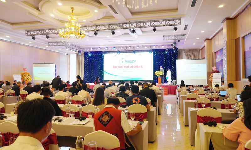 Ảnh bài viết