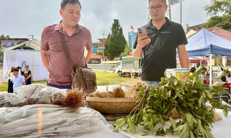 Ảnh bài viết