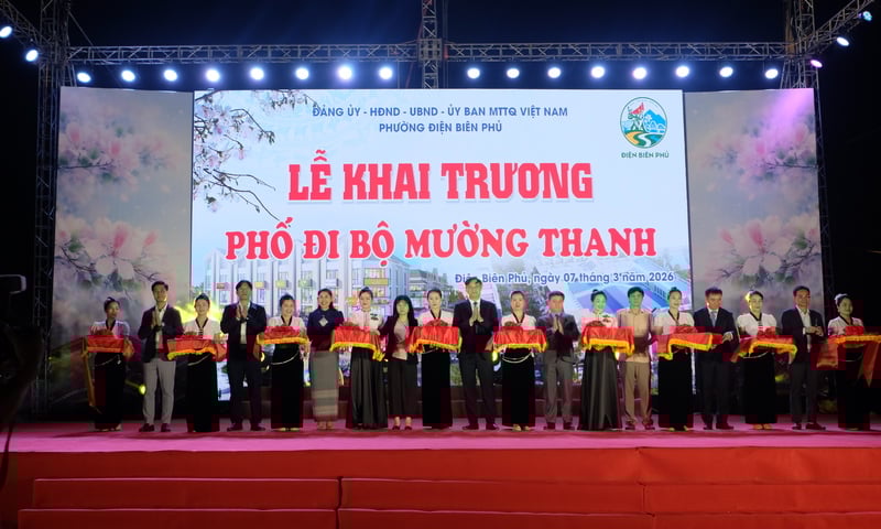 Ảnh bài viết