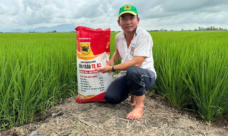 Bình Điền: Gieo nền tảng thương hiệu từ chiến lược xanh