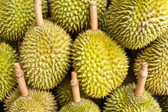 Giá sầu riêng hôm nay 9/11/2025: Giảm do mưa bão và ùn ứ tại cửa khẩu