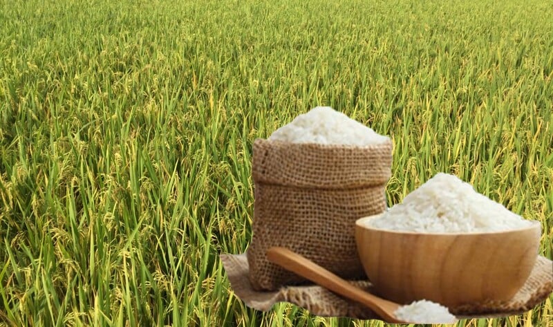 Ảnh bài viết