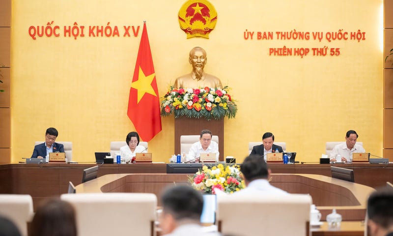 Ảnh bài viết