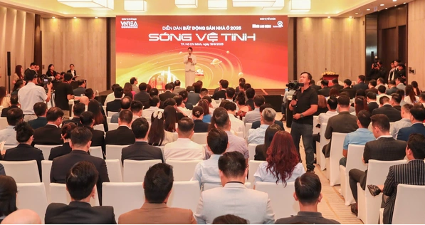 Ảnh bài viết