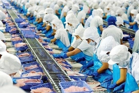 Thuế quan Mỹ chưa hạ nhiệt, Vĩnh Hoàn vẫn muốn tăng tốc mở rộng chuỗi cá tra